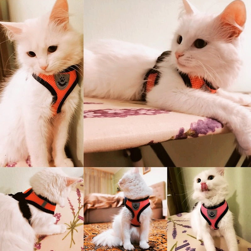 Cat Harness Adjustable Vest Walking Lead Puppy Dogs Small Dog Cat