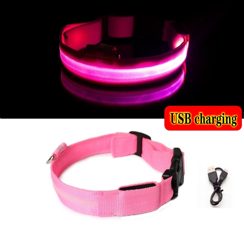 Led Dog Collar Light Night Luminous Pet Products USB Charging