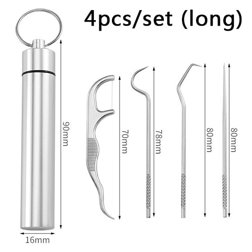 Stainless Steel Toothpick Set Tooth Flossing Reusable Toothpicks