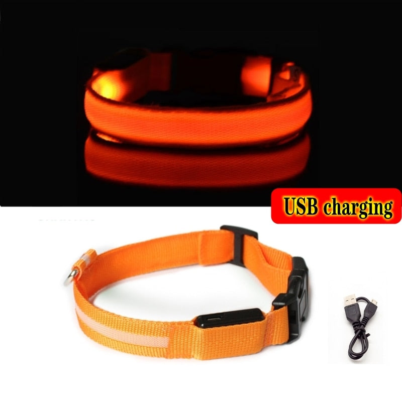 Led Dog Collar Light Night Luminous Pet Products USB Charging