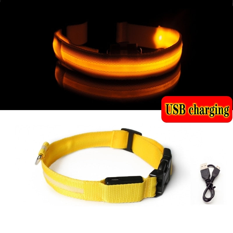 Led Dog Collar Light Night Luminous Pet Products USB Charging