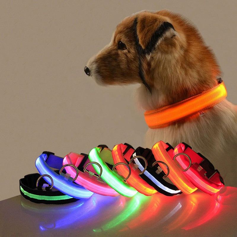 Led Dog Collar Light Night Luminous Pet Products USB Charging