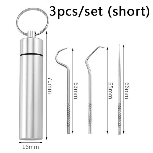 Stainless Steel Toothpick Set Tooth Flossing Reusable Toothpicks