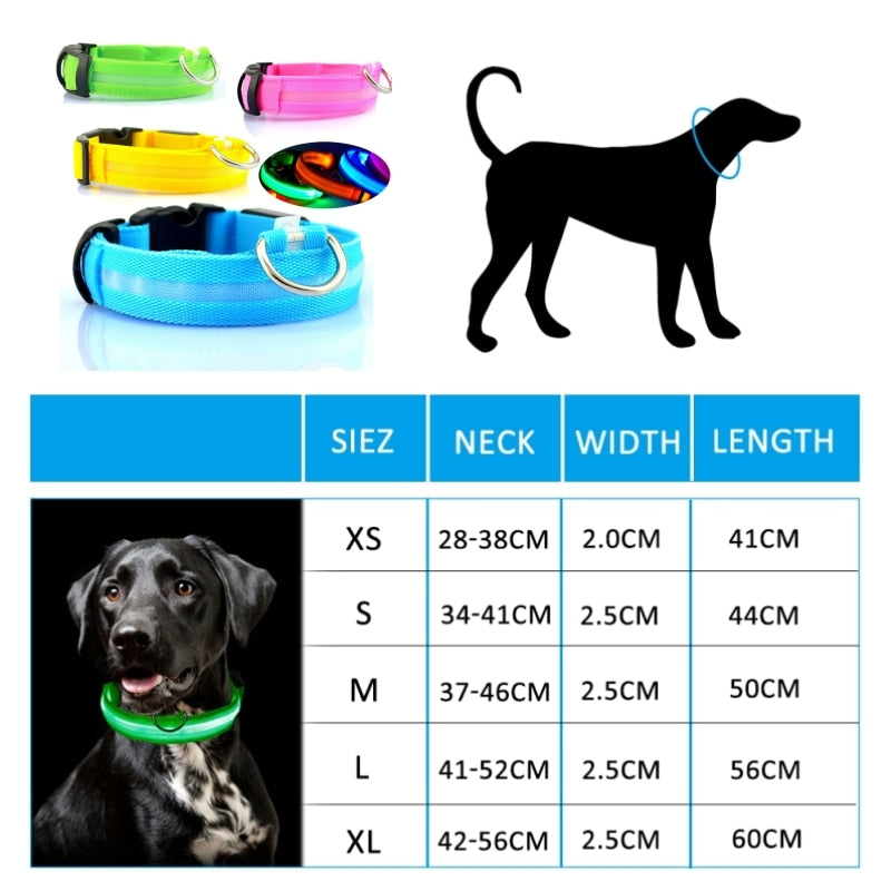 Led Dog Collar Light Night Luminous Pet Products USB Charging