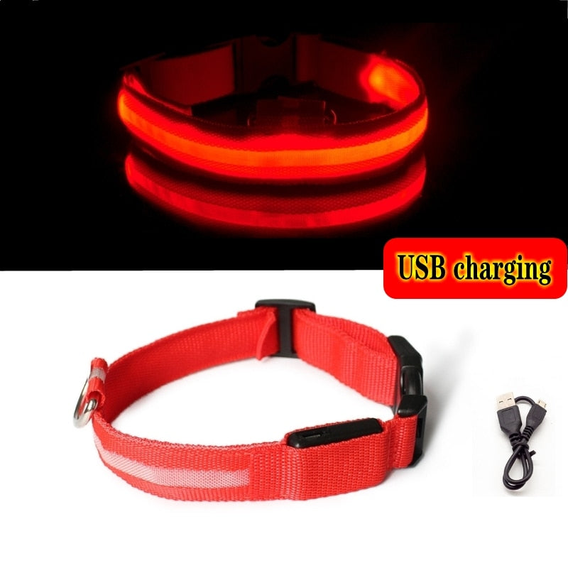 Led Dog Collar Light Night Luminous Pet Products USB Charging