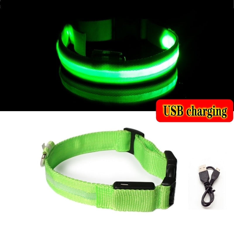 Led Dog Collar Light Night Luminous Pet Products USB Charging