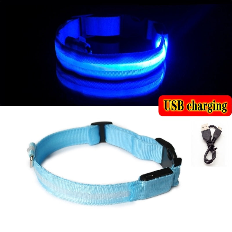 Led Dog Collar Light Night Luminous Pet Products USB Charging