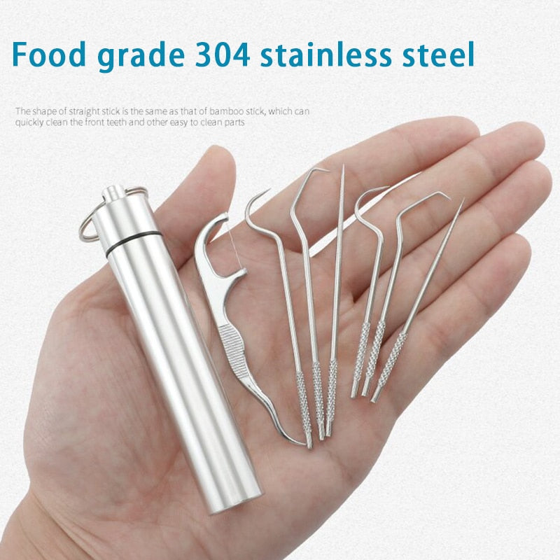 Stainless Steel Toothpick Set Tooth Flossing Reusable Toothpicks